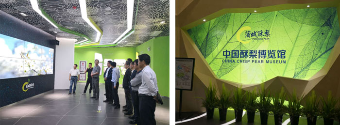 1553590279195231.jpg 11.jpg