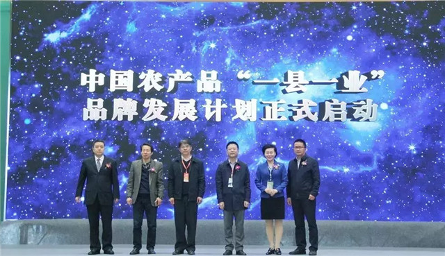 1553757971203553.jpg 1.jpg