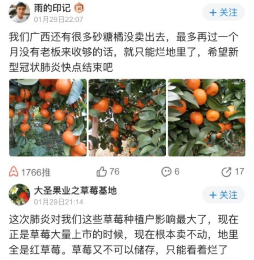 1580967659114216.jpg 333.jpg